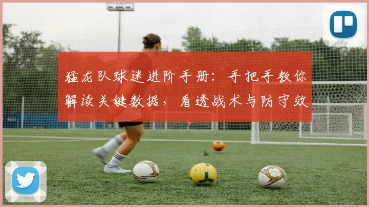 猛龙队球迷进阶手册：手把手教你解读关键数据，看透战术与防守效率